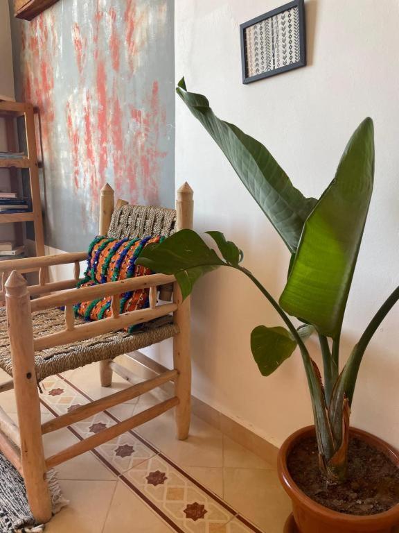 Surf Camp Essaouira Bed and Breakfast Eksteriør billede